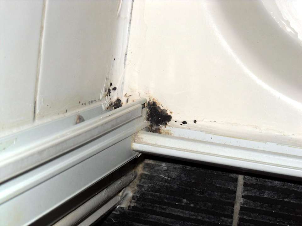 Dusche und noch mehr Schimmel Hotel Euro Lodge Clapham