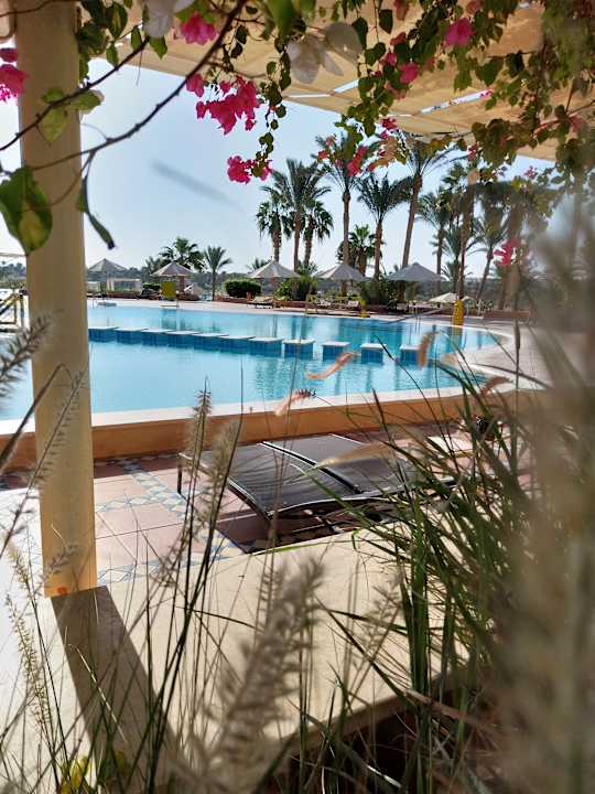 Pool Steigenberger Coraya Beach - Adults only