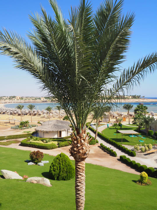 Coraya Bay Jaz Solaya