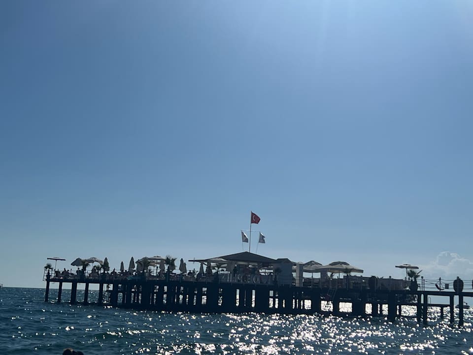 Strand Delphin BE Grand