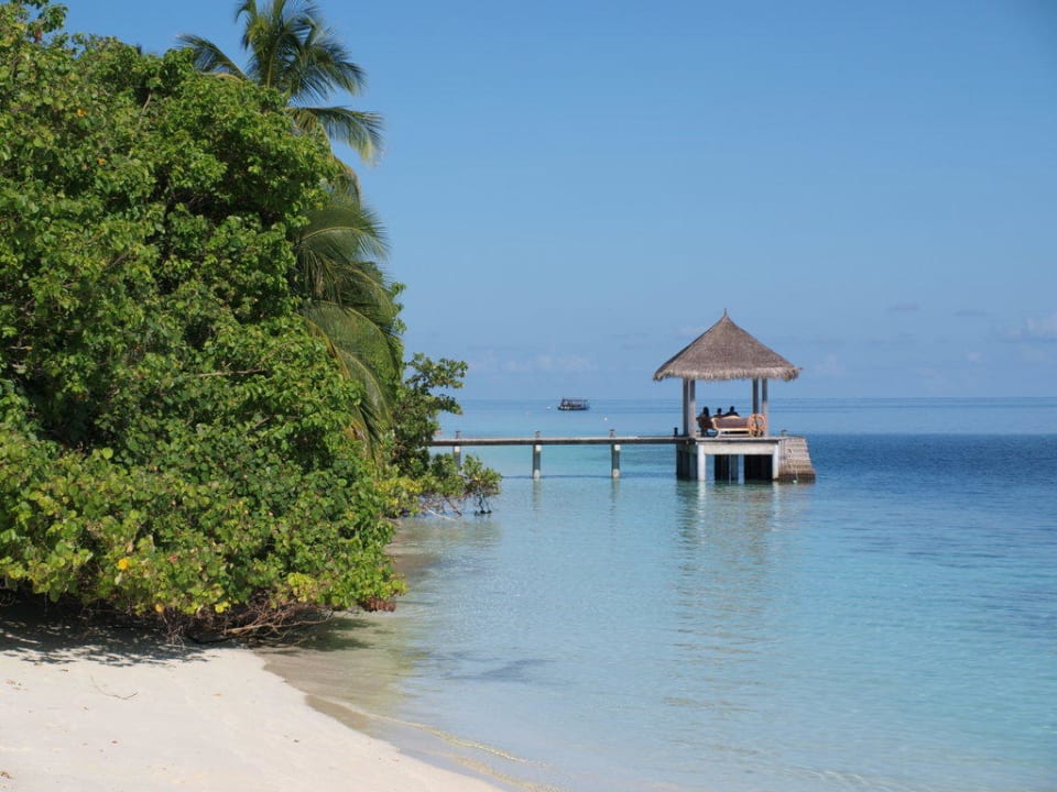 Empfang Vilamendhoo Island Resort & Spa
