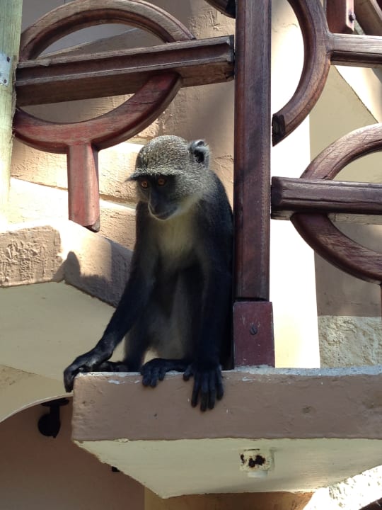 Sonstiges Neptune Paradise Beach Resort & Spa