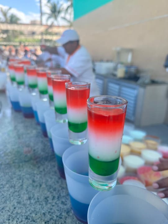 Gastro Hotel Riu Playacar