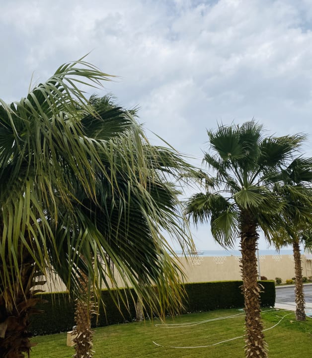 Gartenanlage Beach Albatros Resort
