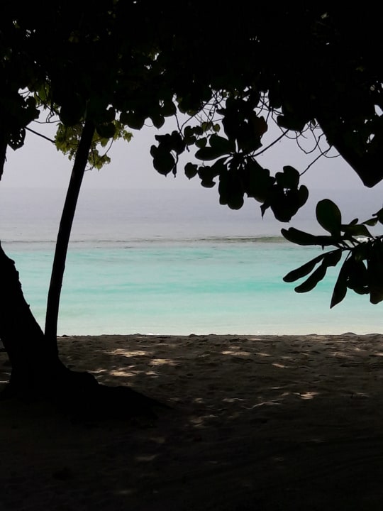 Ausblick Royal Island