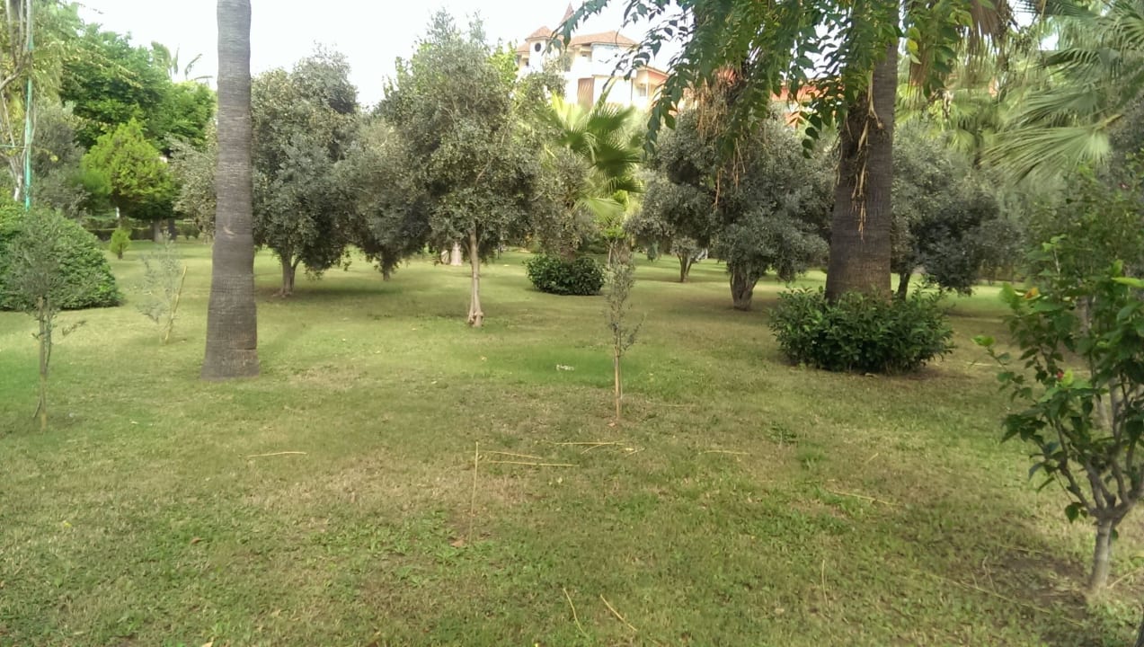 Garttenanlage Saphir Hotel & Villas