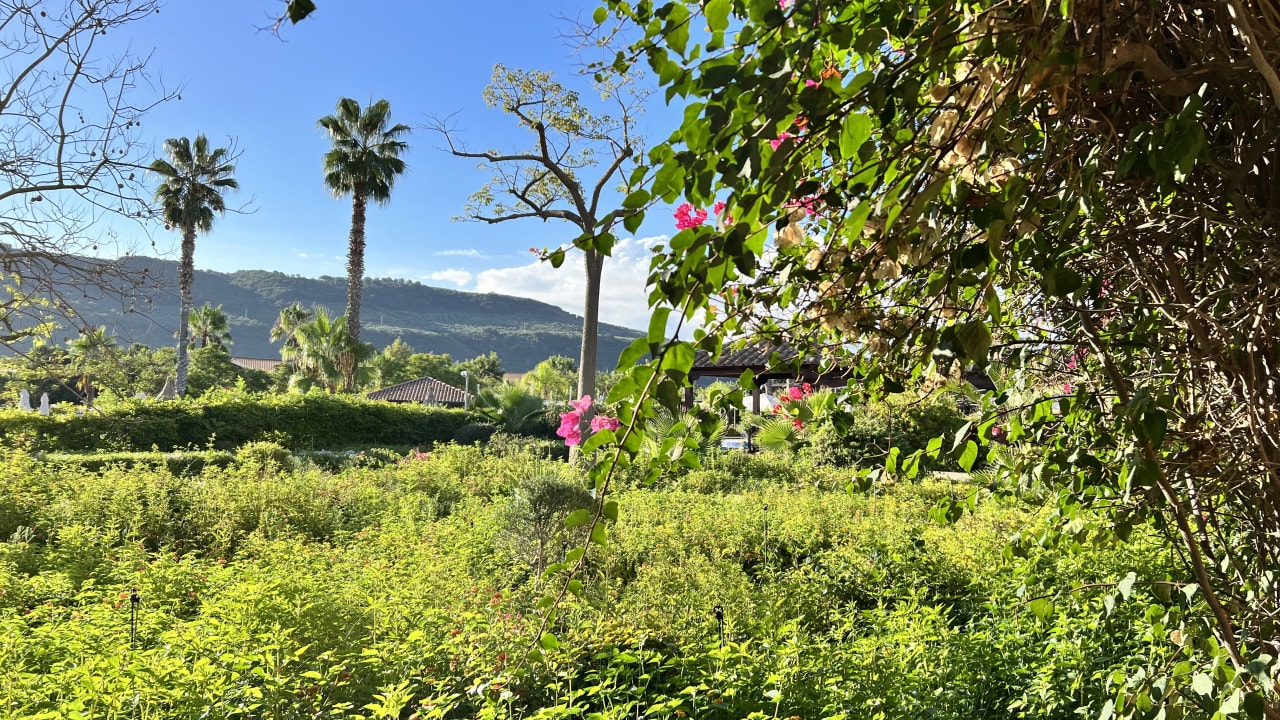 Gartenanlage TUI MAGIC LIFE Calabria