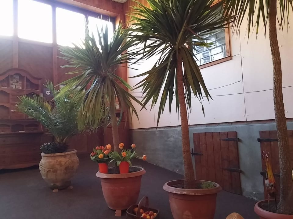 Zugang zum Frühstücksraum 1 Pension Waldhof