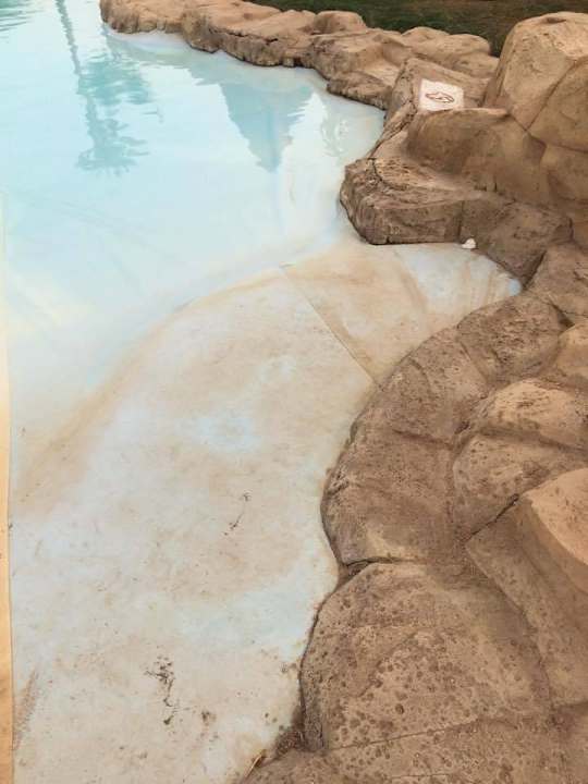 Basen Palmyra Resort