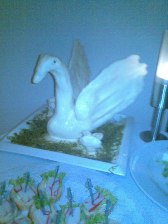 Wunderschön aus Butter gemacht TUI BLUE Side