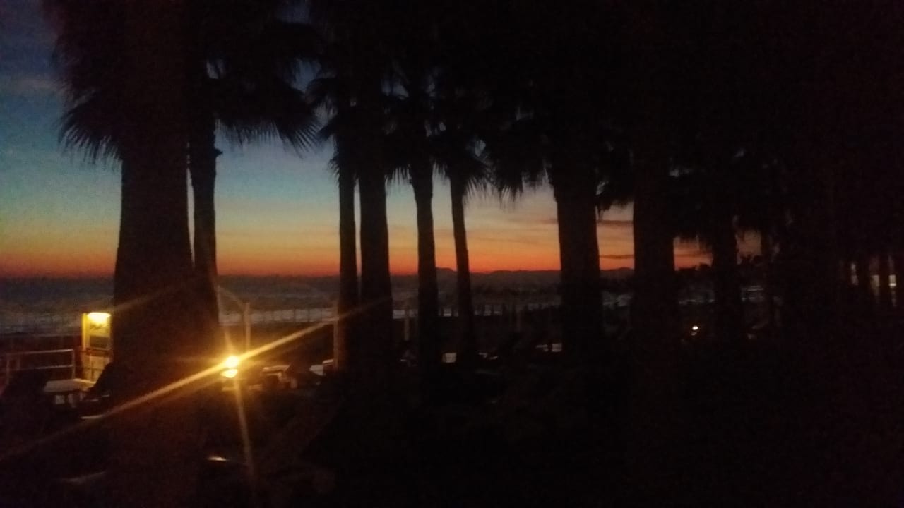Gartenanlage Hotel Miramare Beach