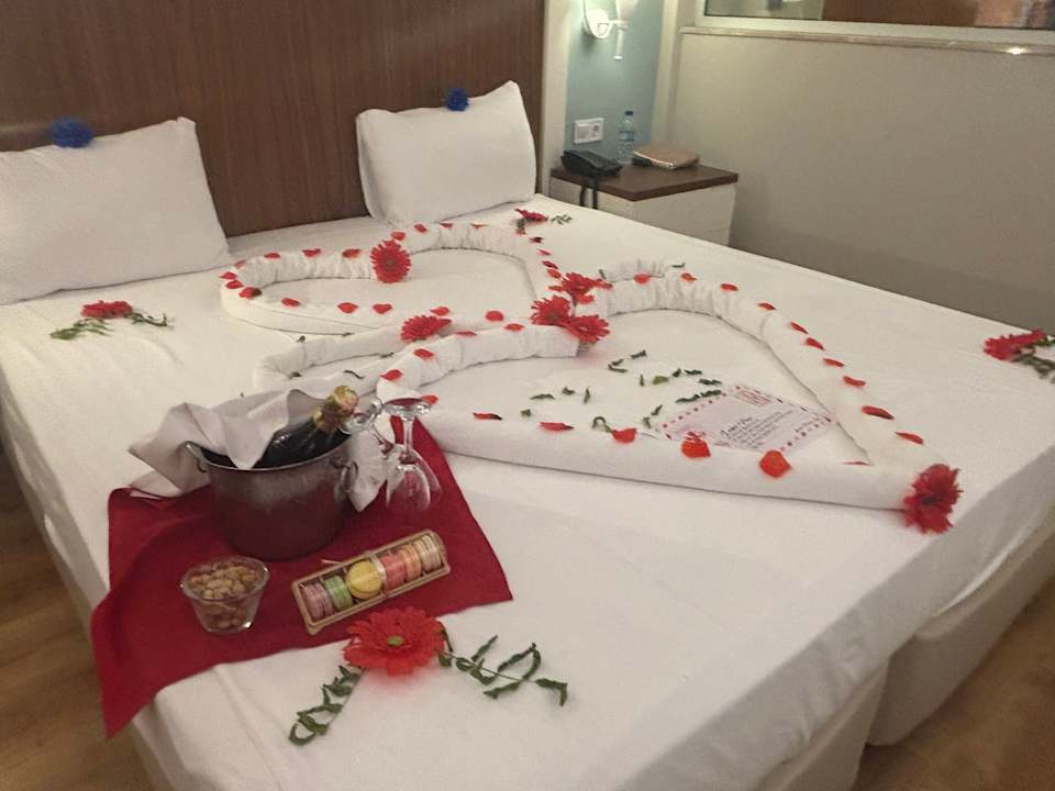 Zimmer Seashell Vega