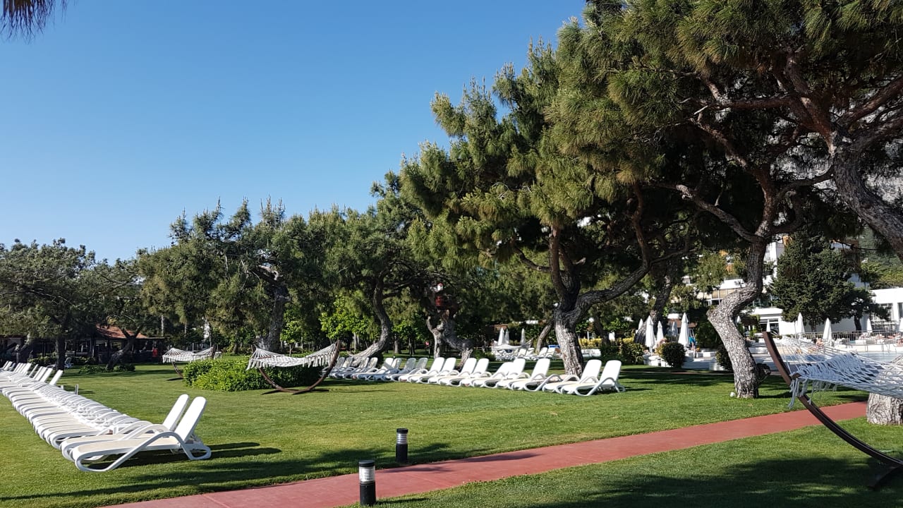 Gartenanlage TUI MAGIC LIFE Beldibi +16