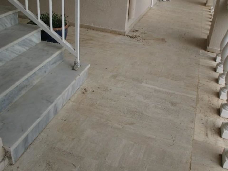 Vogeldreck Sandy Beach Resort