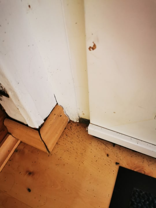 Zimmer Ferienhaus Smuk udsigt