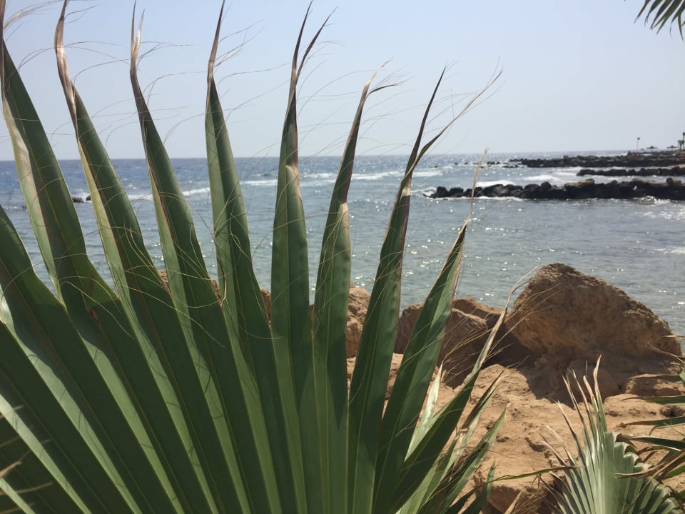 Strand Pickalbatros Citadel Resort