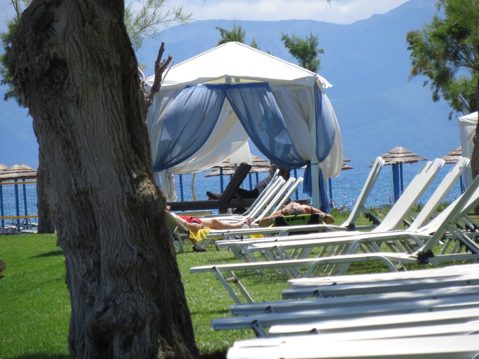 Pavillon  TUI BLUE Oceanis Beach and Spa Resort