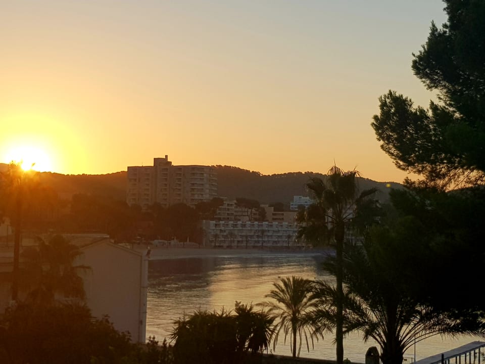 Ausblick FLOR los Almendros Hotel
