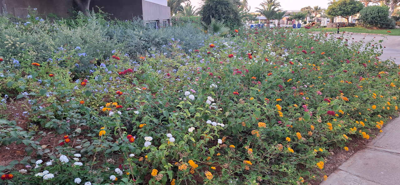 Gartenanlage Anissa Beach & Village