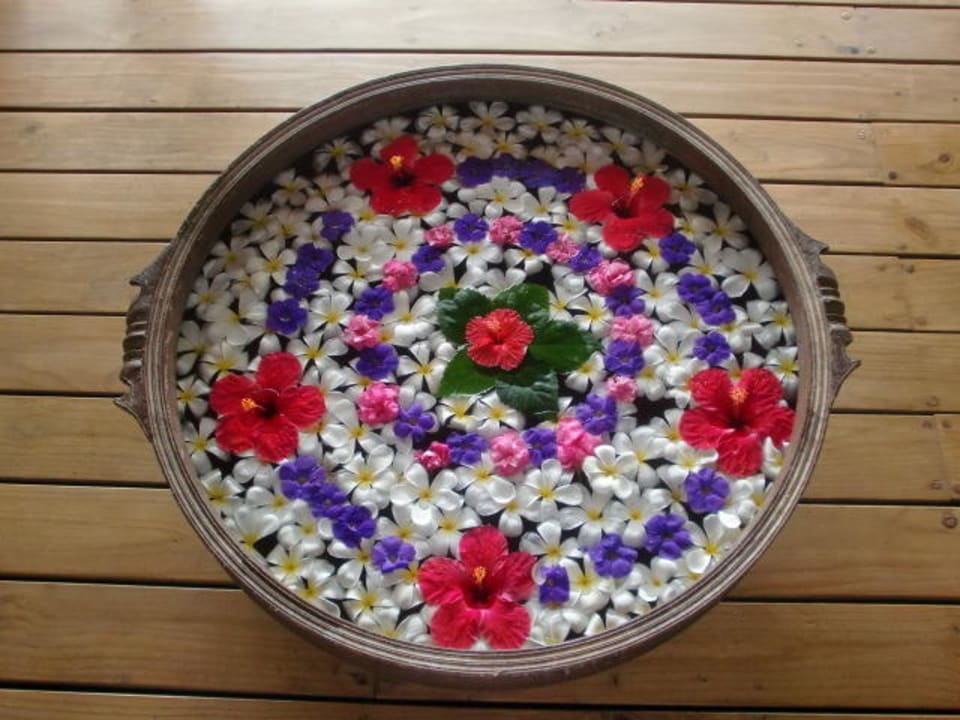 Orchideen Kuramathi Maldives