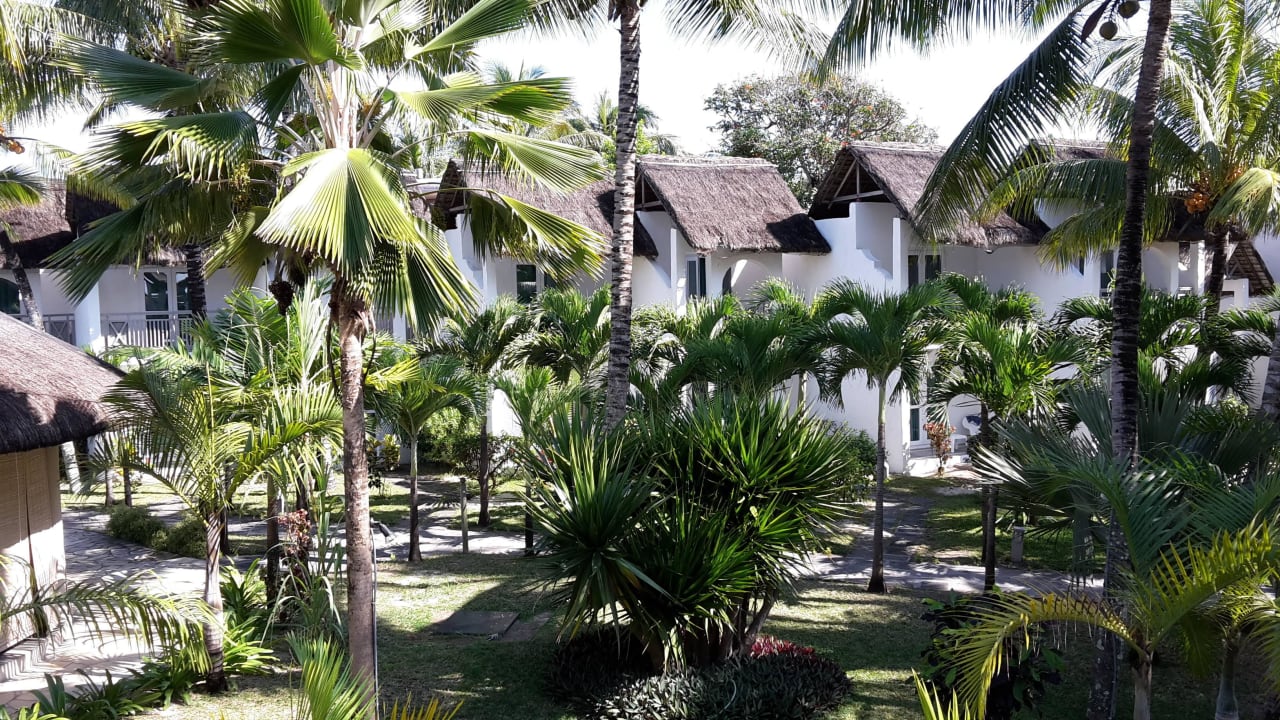 Ausblick aus dem Zimmer Veranda Palmar Beach Hotel