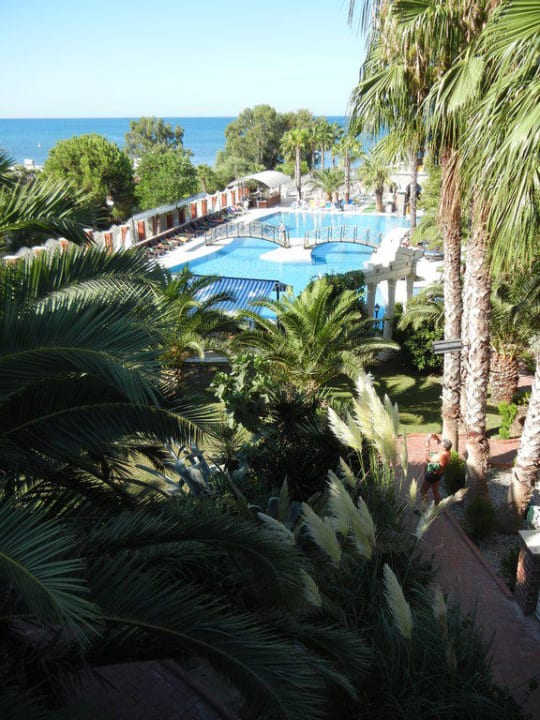 Der Pool Hotel Thalia Unique