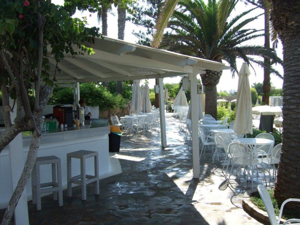 Bar am Pool Hotel Nissi Beach Resort
