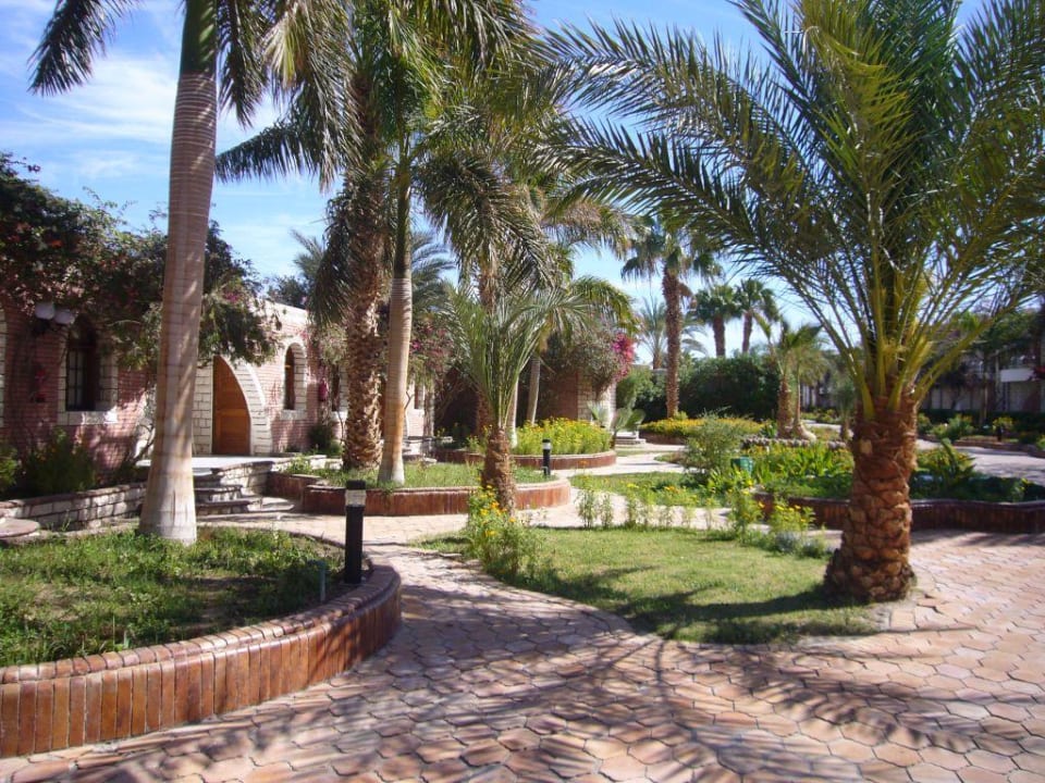 Die Wege zu den Bungalows Aladdin Beach Resort