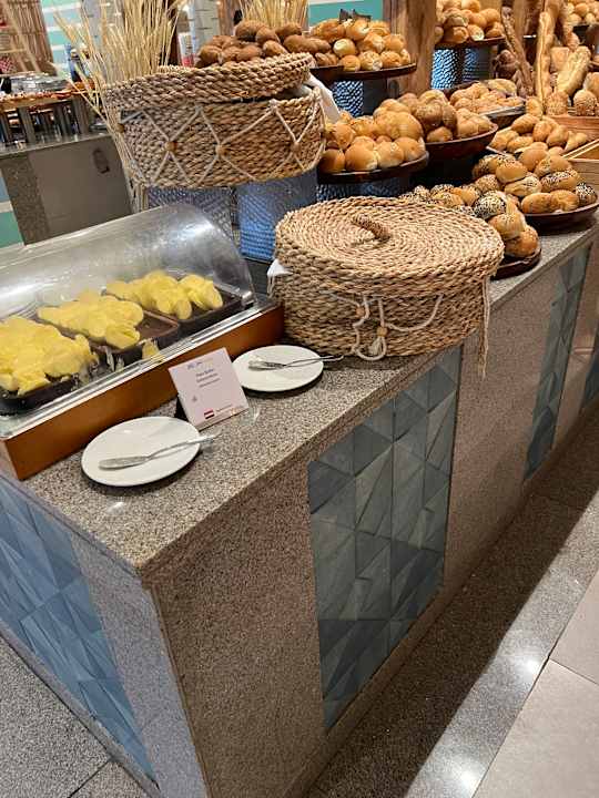 Gastro JAZ Elite Asteria