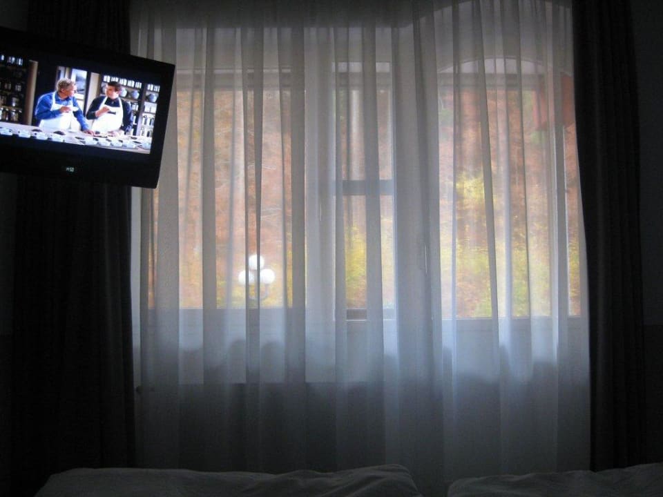 Blick vom Bett aus Göbel's Vital Hotel Bad Sachsa