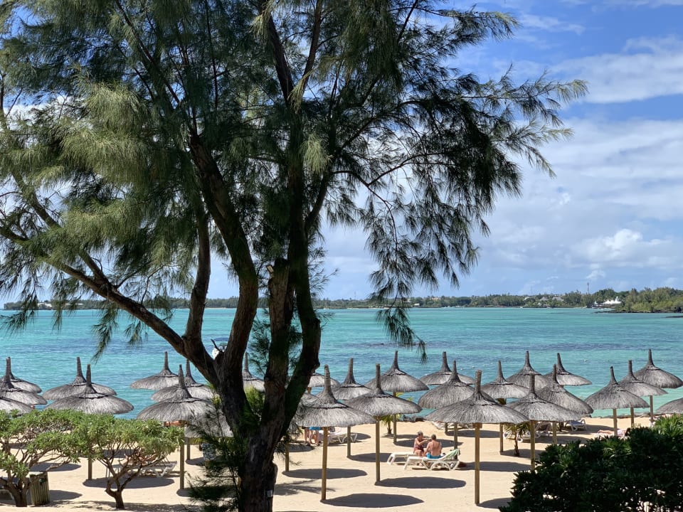 Ausblick Lagoon Attitude - Adults only