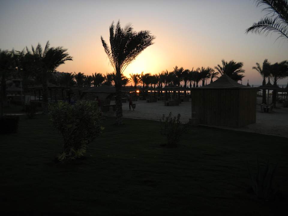 Sonnenaufgang Pickalbatros Palace Resort