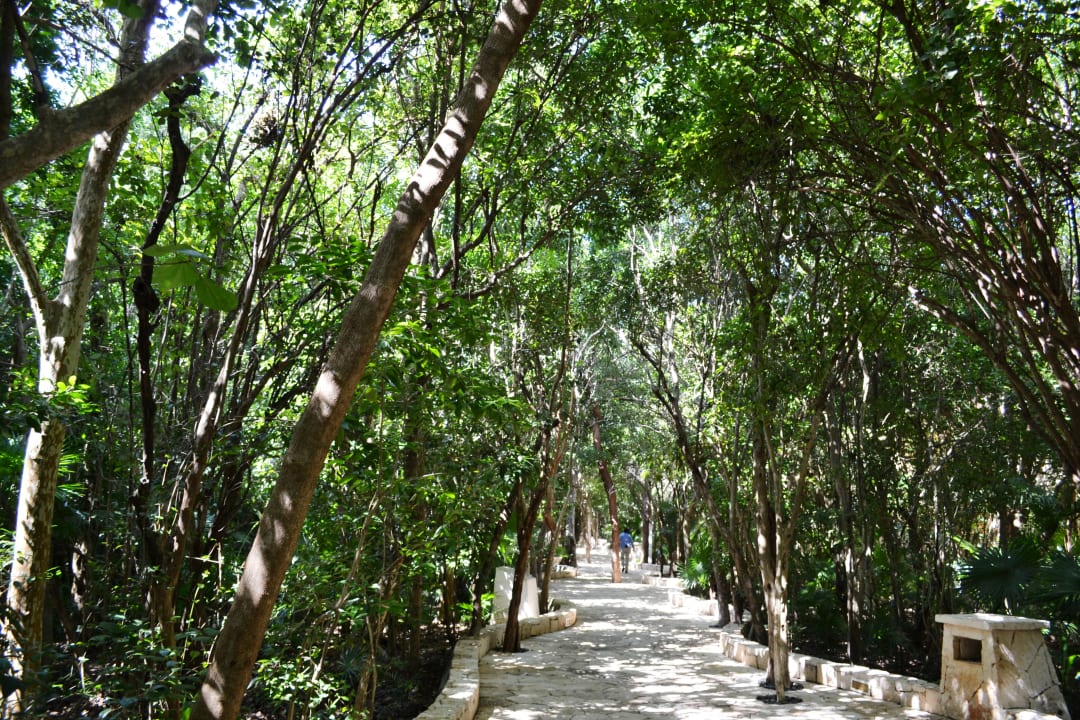 Gartenanlage Catalonia Royal Tulum Beach & Spa Resort - Adults only