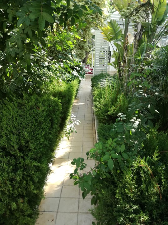 Gartenanlage Samira Club