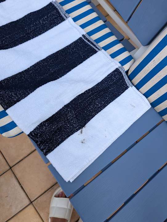 Pool Shalimar Hammamet