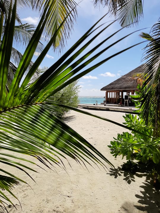 Strand Meeru Maldives Resort Island