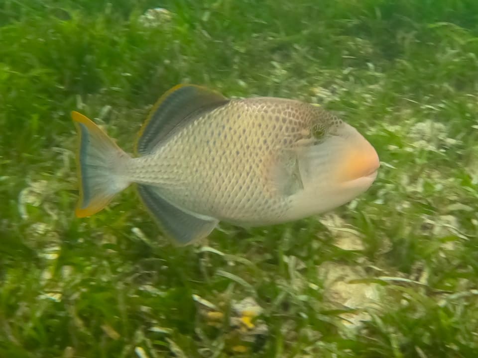 Strand Adaaran Select Hudhuran Fushi - Premium All Inclusive