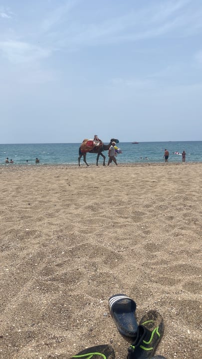 Strand Sunis Elita Beach Resort & Spa