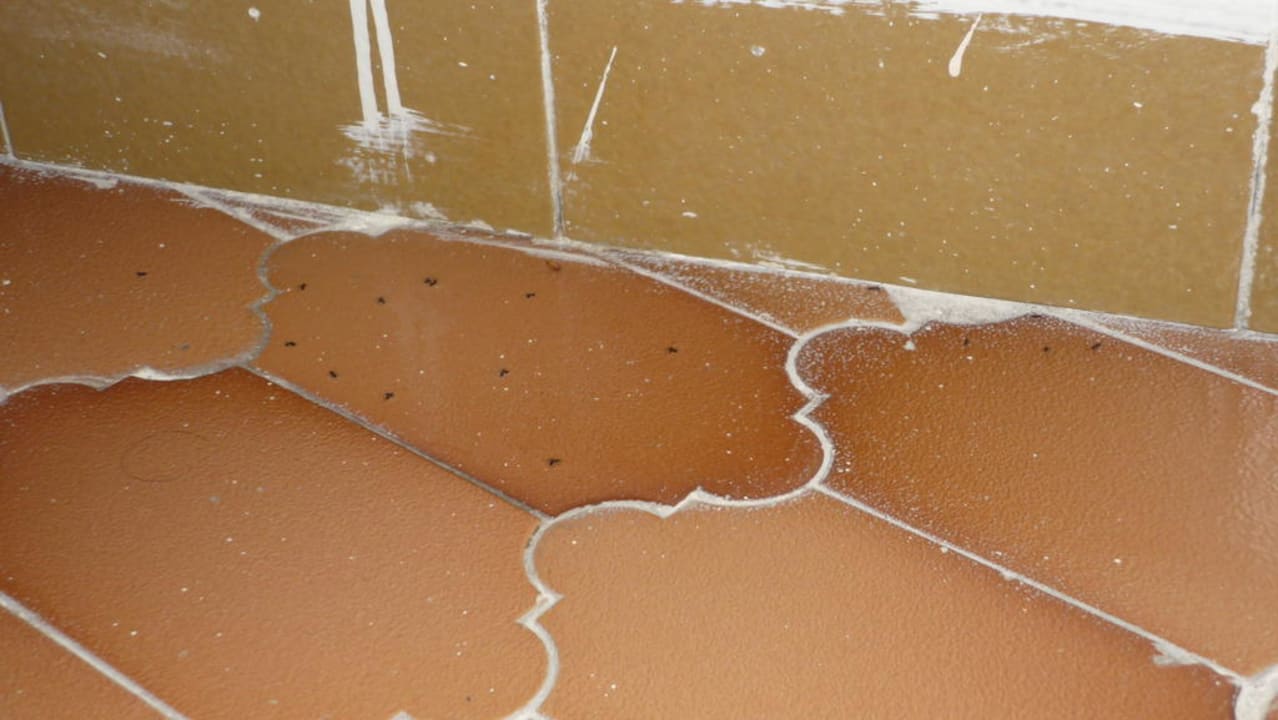 Appartement Nr. 83 Hotel Sirma