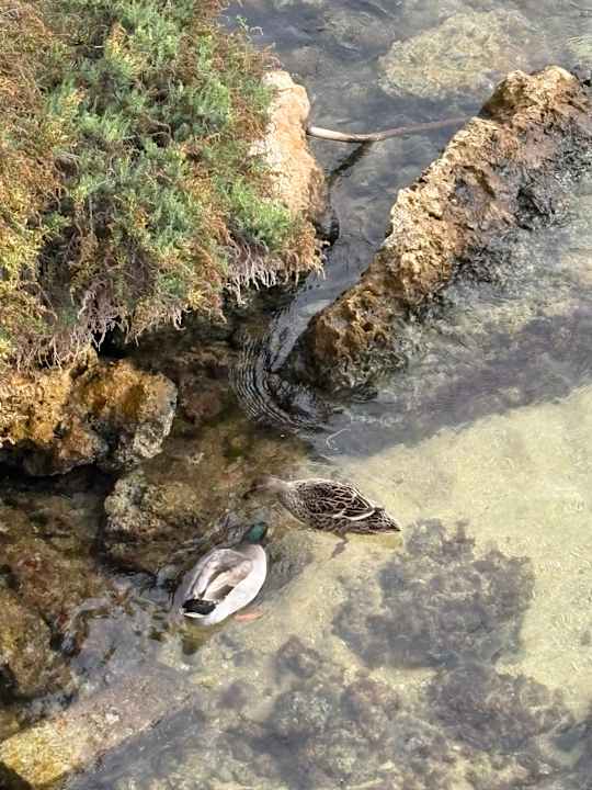 Sonstiges Grand Hotel Gozo