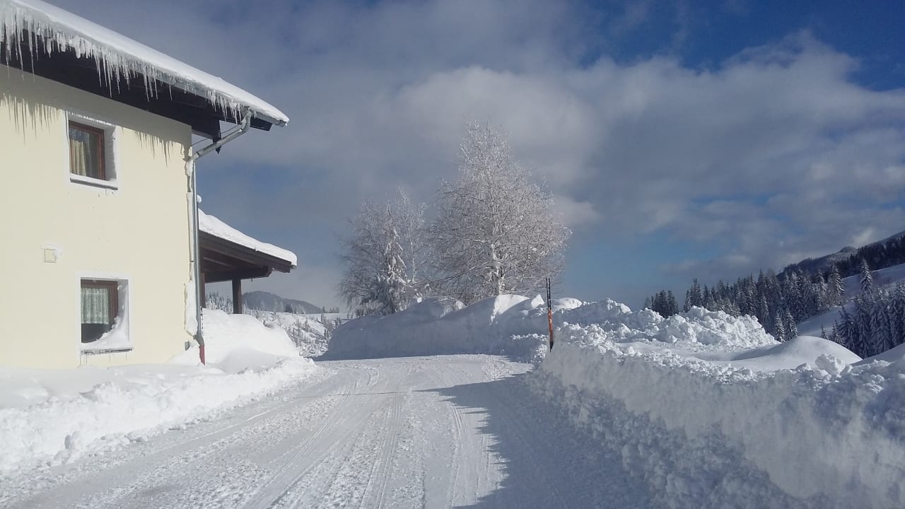 Ausblick Ferienhaus Kurzenhof