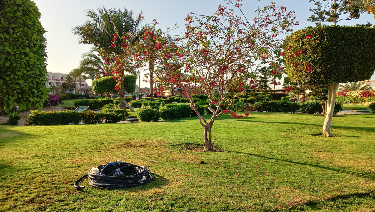 Gartenanlage Hurghada Long Beach Resort
