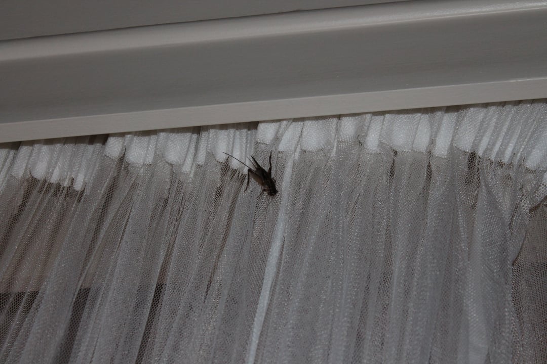 Überall im Zimmer Ol Tukai Lodge