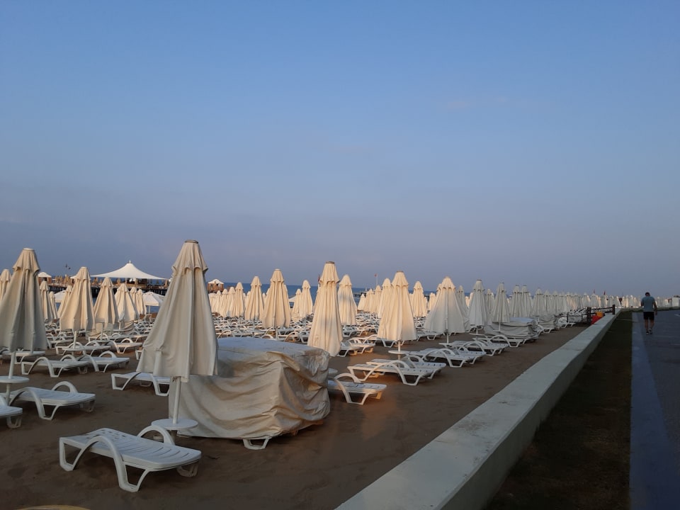 Strand Arum Barut Collection