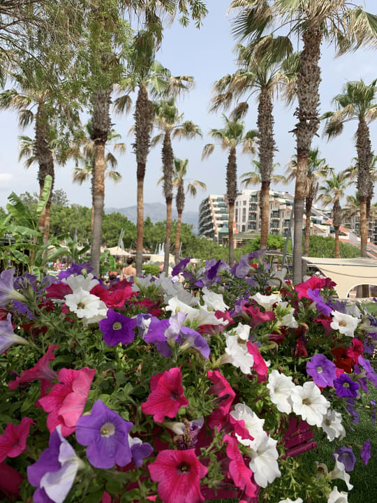 Ausblick Limak Limra Hotel & Resort