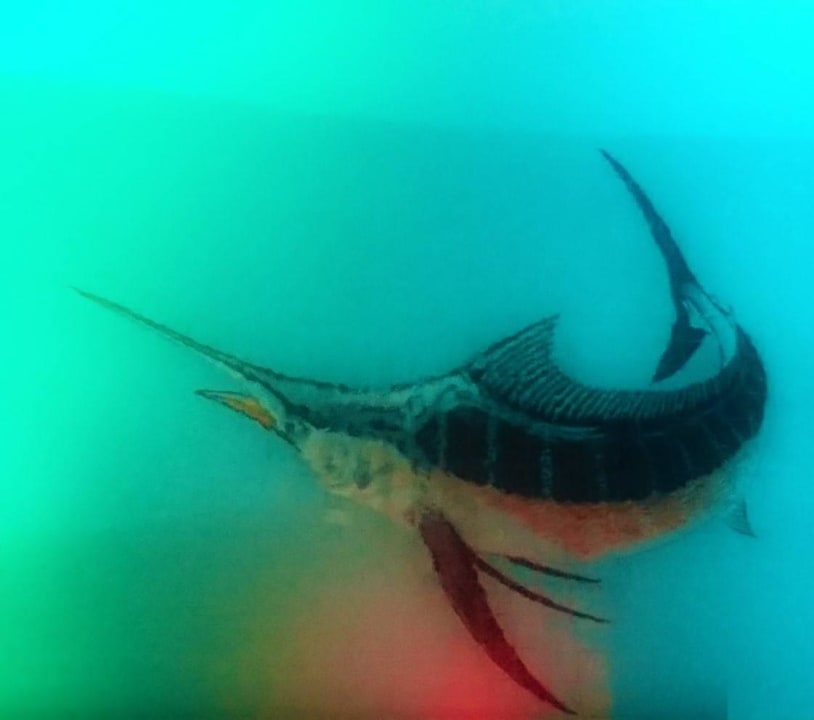 Ferienhaus Villa MariEnzo Ferienhaus Villa MariEnzo