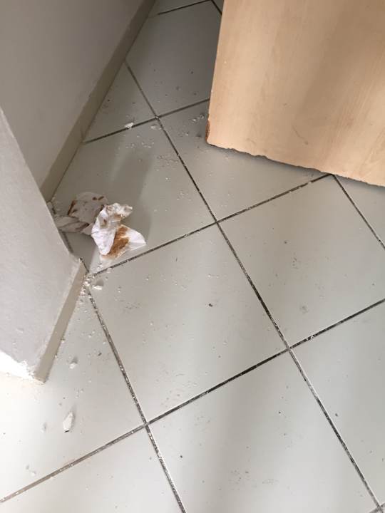 Zimmer Hotel Nesrine