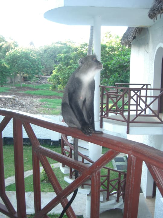 Auf dem Balkon  Neptune Village Beach Resort & Spa