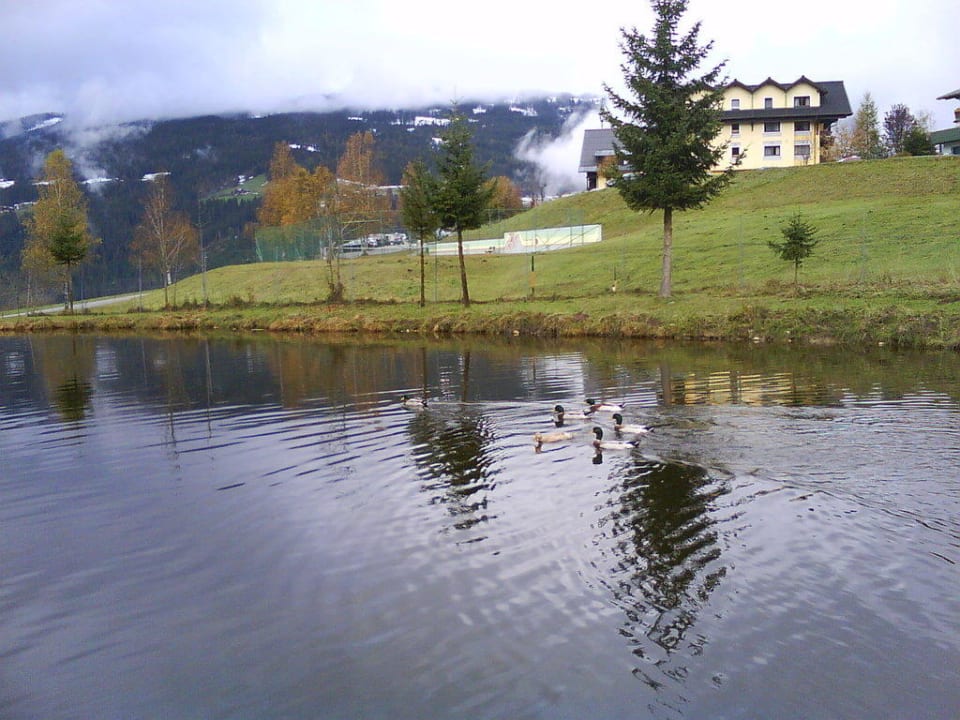 Haussee Die Seitenalm