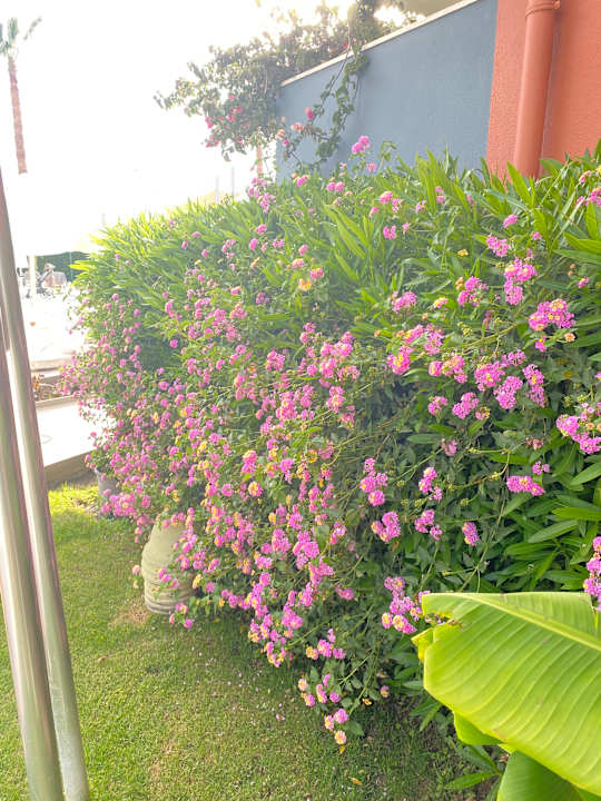 Außenansicht Barut GOIA